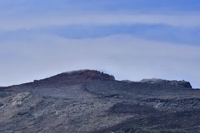 DSC_3656 (Large).JPG